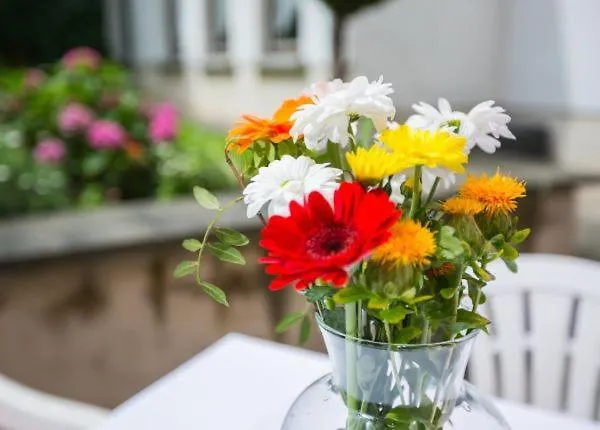 Annet Garni 3* Meerane